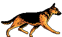 Since Animals of the Earth isn't completed, I have made this a link to Twisted's Dog Haus Page...It will have to do for now, sorry.